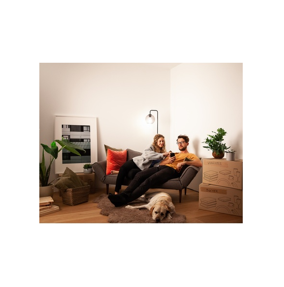 Teknik: Zigbee