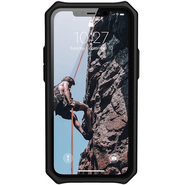iPhone 12 Mini Monarch Cover - Mallard (112341115555)