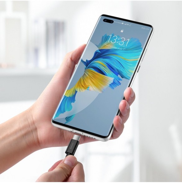 Baseus Superior USB-kabel - USB Typ C 66 W (11 V / 6 A) Huawei SuperCharge SCP 2 m svart (CATYS-A01)