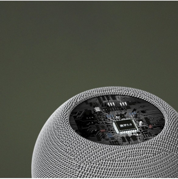 Dudao trådlös Bluetooth 5.0-högtalare 3W 500mAh grå (Y3s-grå)