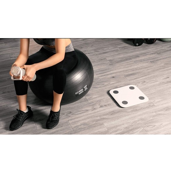 Xiaomi XMTZC02HM Mi Body Composition Scale BMI - Vit