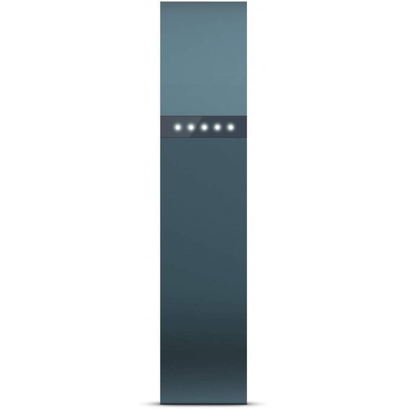 Fitbit Flex Wireless Activity Tracker and Sleep Wristband - Grå