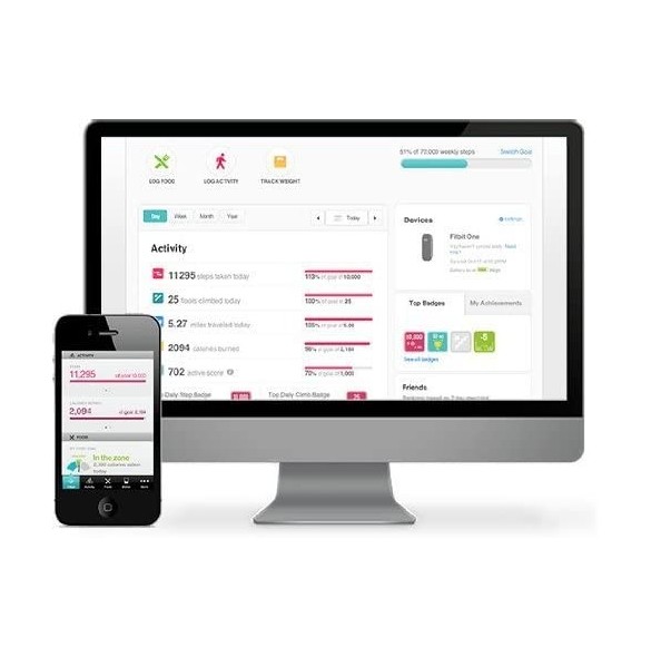 Fitbit Flex Wireless Activity Tracker and Sleep Wristband - Grå