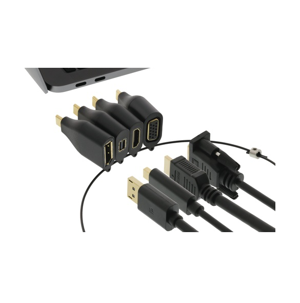 USB-C hane till DisplayPort (1080p) honadapter