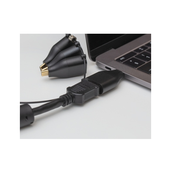 USB-C manlig till mini DisplayPort (1080p) kvinnlig ada.