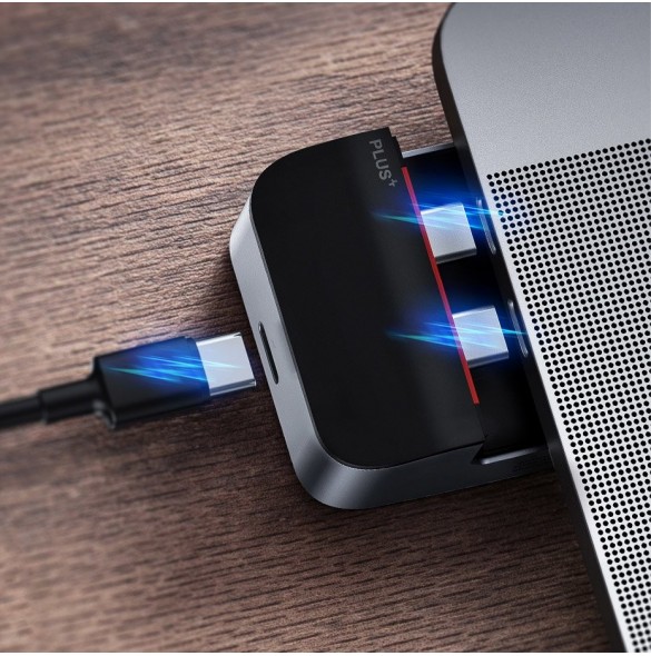 Plug Standard: Ingen