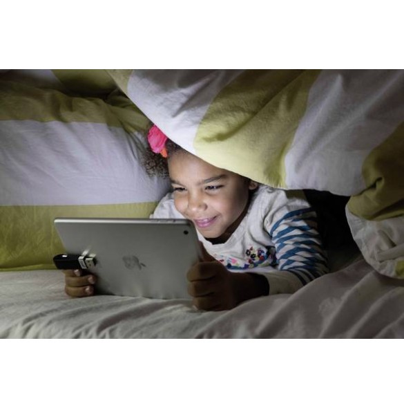 Leef USB iBridge 32GB
