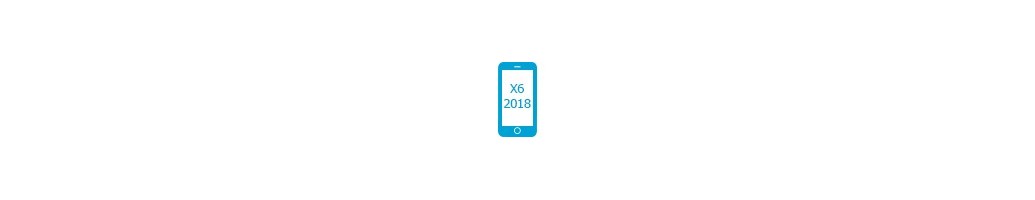 Tillbehör för X6 2018 från Nokia