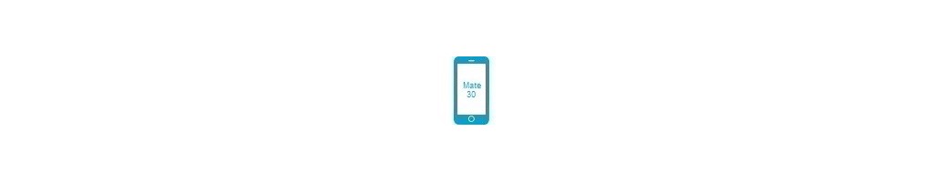 Tillbehör för Mate 30 från Huawei