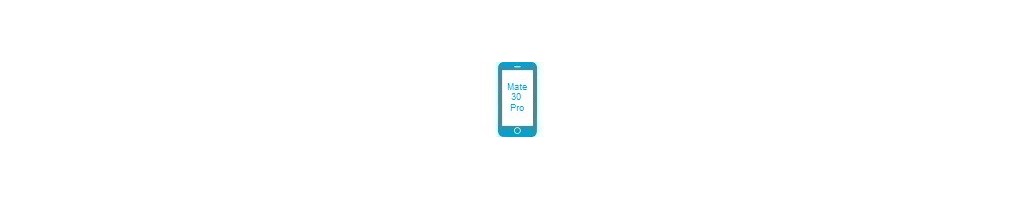 Tillbehör för Mate 30 Pro från Huawei