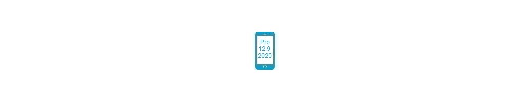 Tillbehör för Pro 12.9 2020 från iPad