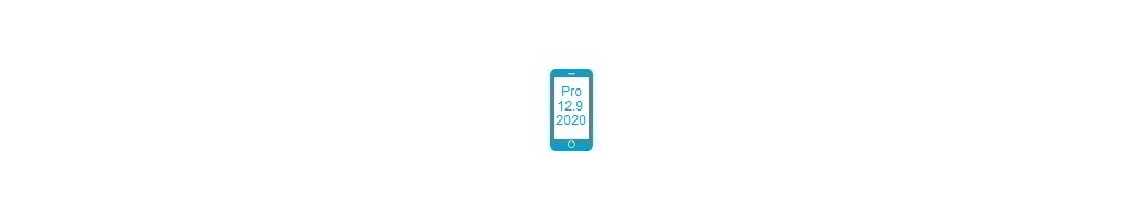 Tillbehör för Pro 12.9 2020 från iPad
