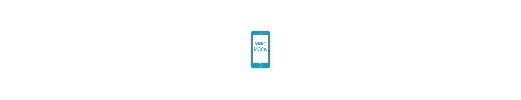 Tillbehör för Galaxy M30s från Samsung