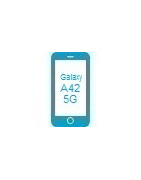 Samsung Galaxy A42 5G Tillbehör