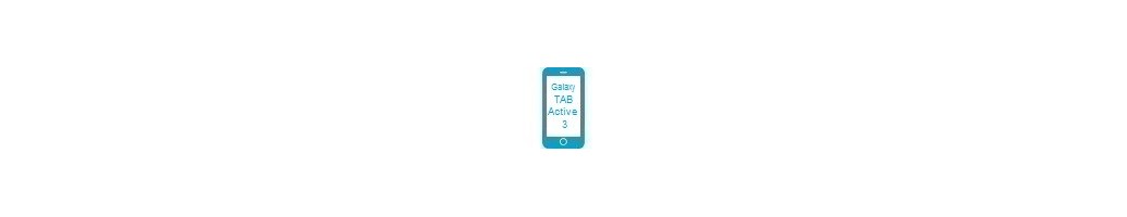 Tillbehör för Galaxy Tab Active 3 från Samsung