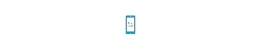 Tillbehör för Moto G20 från Motorola
