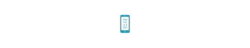 Tillbehör för Pro 12.9 (2021) från iPad