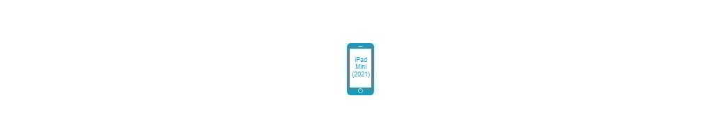 Tillbehör för Mini (2021) från iPad