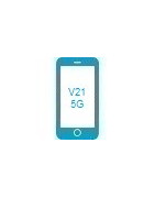 Vivo V21 5G Tillbehör