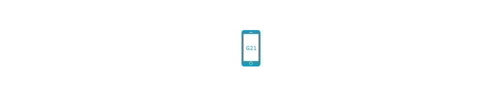 Tillbehör för G21 från Nokia