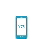 Vivo Y75 5G Tillbehör