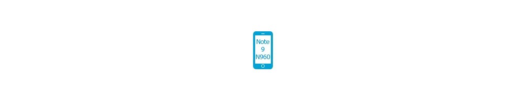Tillbehör för Galaxy Note 9 N960 från Samsung